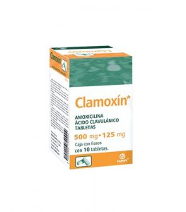 medicamento Clamoxin