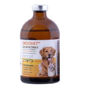 Endovet
