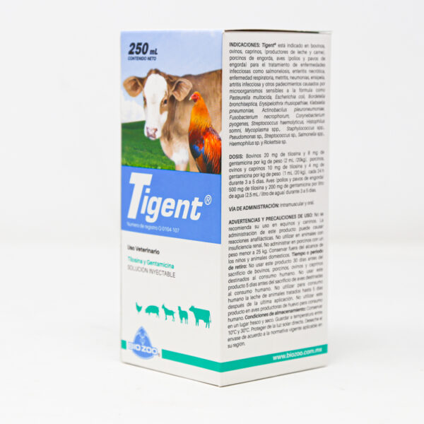 Tigent